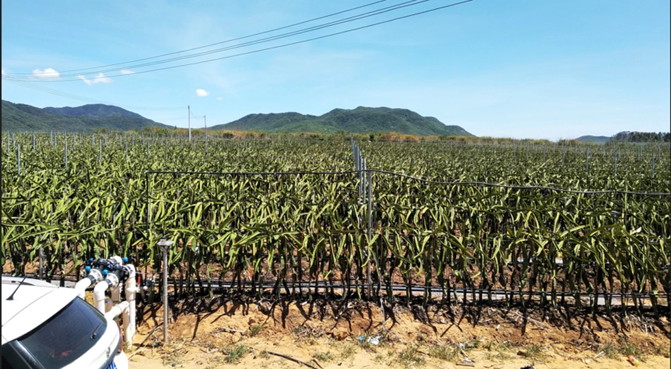 Single Phase Input VFD for AC Motor